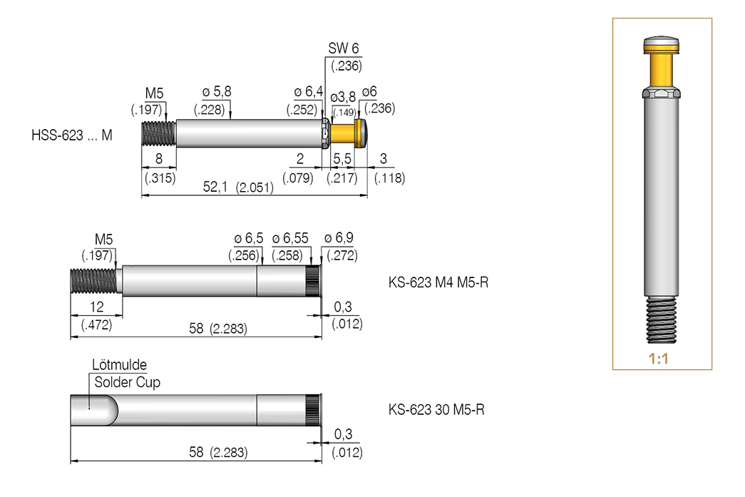 HSS623306600A10002M